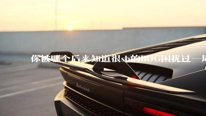 你被哪个后来知道很sb的BUG困扰过一周以上吗？