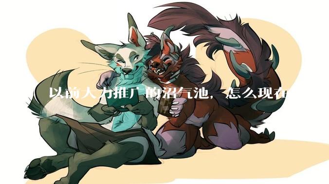 以前大力推广的沼气池，怎么现在越来越少了？