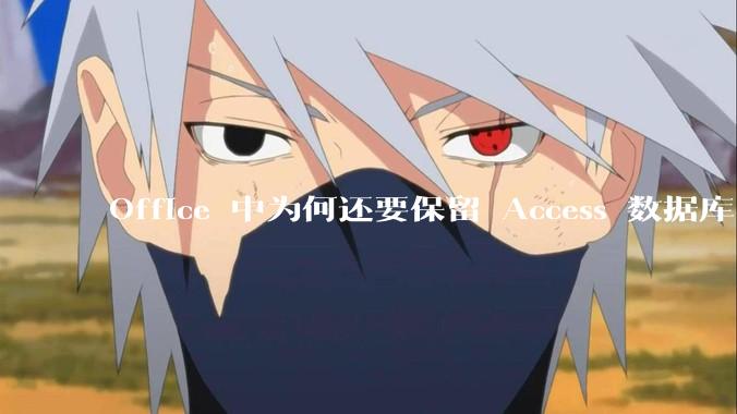 Office 中为何还要保留 Access 数据库?