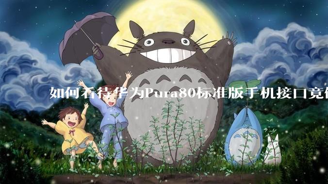 如何看待华为Pura80标准版手机接口竟倒退成USB 2.0？