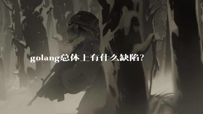 golang总体上有什么缺陷？