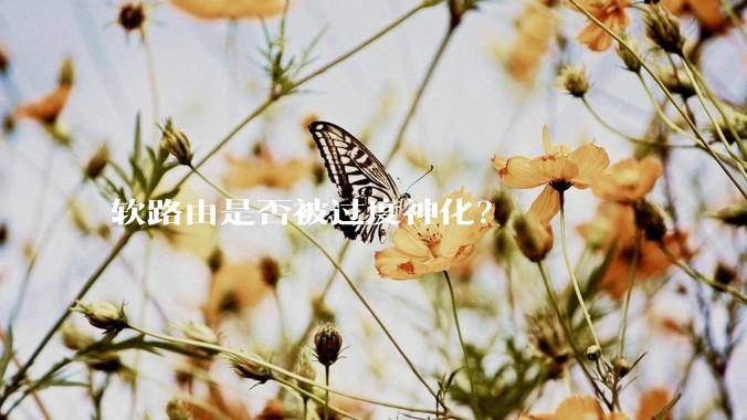 软路由是否被过度神化？