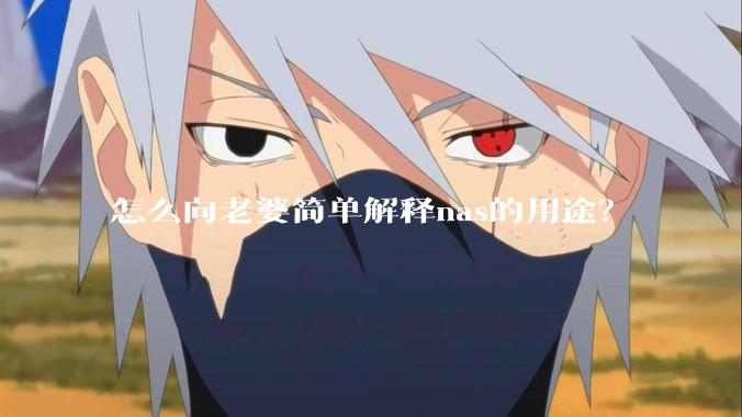 怎么向老婆简单解释nas的用途？