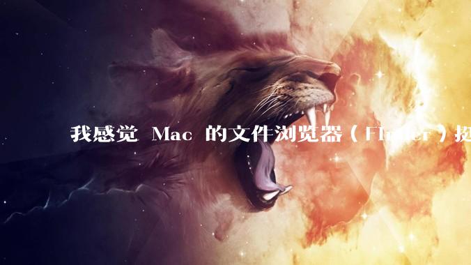 我感觉 Mac 的文件浏览器（Finder）挺好用的，Windows 上面有没有差不多的软件呢？
