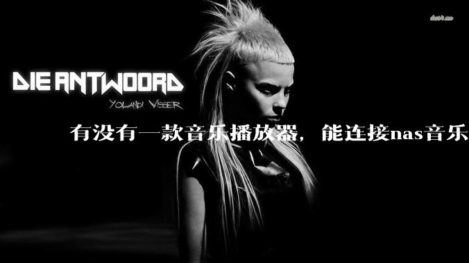 有没有一款音乐播放器，能连接nas音乐，创建音乐库，自动匹配歌词封面等等？类似infuse的概念呢？
