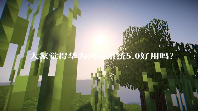 大家觉得华为鸿蒙系统5.0好用吗？